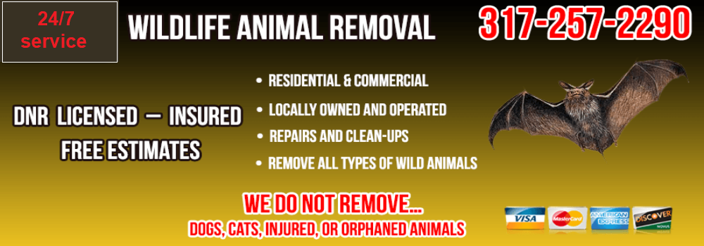 Wildlife Removal and Control Indianapolis Indiana